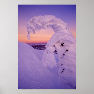 Sneeuwgeest in het Whitefish Range bij Twilight Poster