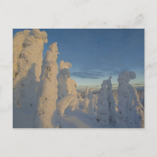 Sneeuwgeesten bij zonsondergang op Whitefish Mount Briefkaart