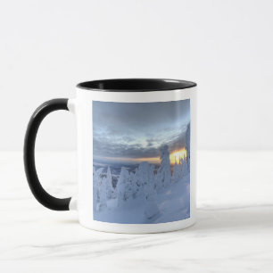 Sneeuwgeesten bij zonsondergang op Whitefish Mount Mok