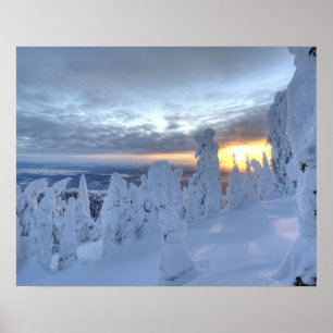 Sneeuwgeesten bij zonsondergang op Whitefish Mount Poster