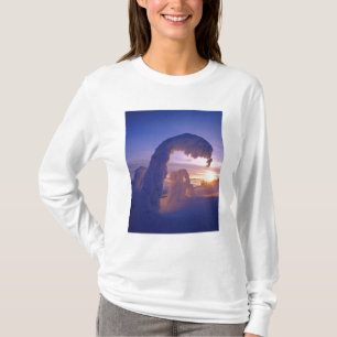 Sneeuwgeesten in het Whitefish-gebergte in Montana T-shirt
