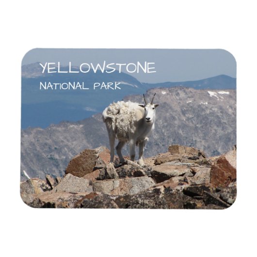 Sneeuwgeit, Froze to Death Plateau, Yellowstone Magneet (Horizontaal)