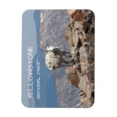 Sneeuwgeit, Froze to Death Plateau, Yellowstone Magneet (Verticaal)