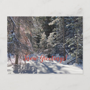 Sneeuwgroeten uit Tahoe City! Briefkaart
