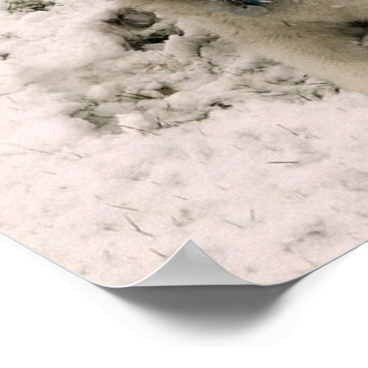 Sneeuwhond 2 poster (Hoek)