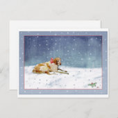 Sneeuwhond Briefkaart (Voorkant / Achterkant)