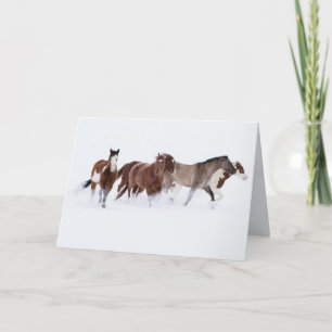 Sneeuwige maart II paard wenskaart Feestdagen Kaart