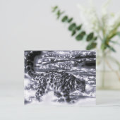 sneeuwjager 3 briefkaart (Staand voorkant)