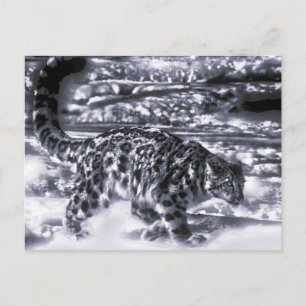 sneeuwjager 3 briefkaart