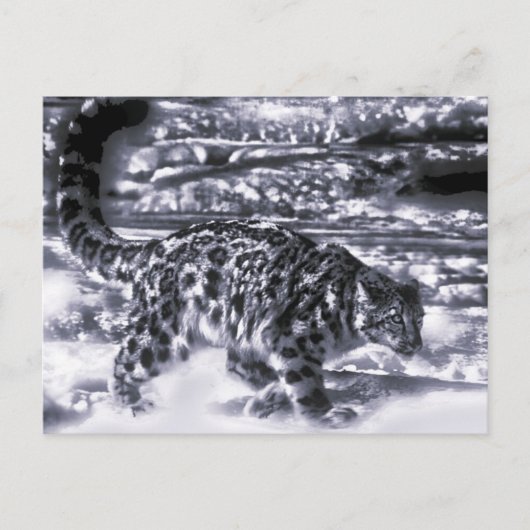 sneeuwjager 3 briefkaart (Voorkant)