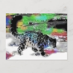 sneeuwjager 5 briefkaart