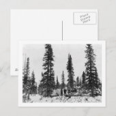 Sneeuwkamperen ten noorden van de poolcirkel briefkaart (Voorkant / Achterkant)