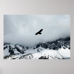 Sneeuwkapje bergachtige vogel geplaatst poster