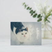 sneeuwkat briefkaart (Staand voorkant)