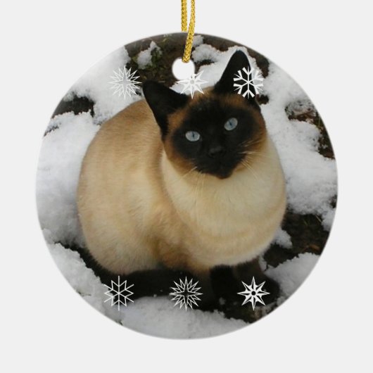 Sneeuwkat Keramisch Ornament (Voorkant)