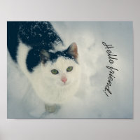 Sneeuwkat
