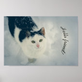 sneeuwkat poster (Voorkant)