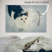 Sneeuwkat Poster