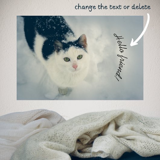 sneeuwkat poster