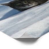 SNEEUWKAT POSTER (Hoek)