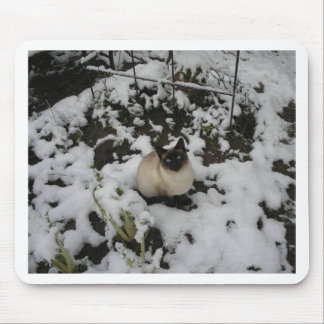 Sneeuwkat, sneeuwkat muismat