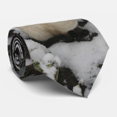 Sneeuwkat, sneeuwkat stropdas (Opgerold)