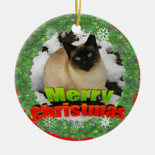 Sneeuwkat voor fijne kerst Foto Lijst Ornament