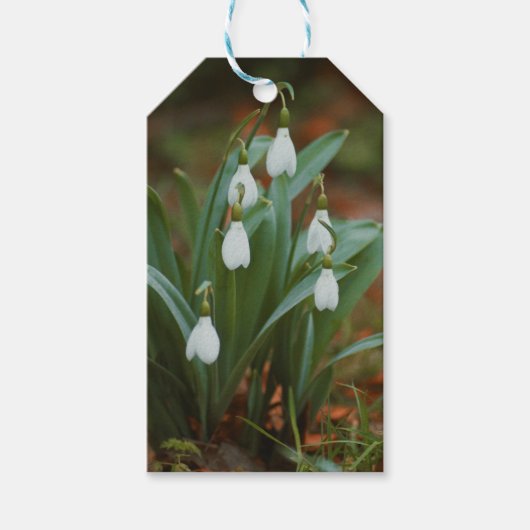 sneeuwklokje cadeautags cadeaulabel (Voorkant)