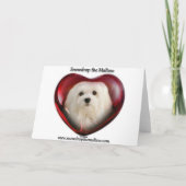 Sneeuwklokje de Maltese kerst Kaart (Achterkant)