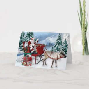 Sneeuwklokje de Maltese kerst Kaart