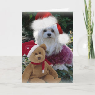 Sneeuwklokje de Maltese kerst Kaart