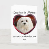 Sneeuwklokje de Maltese kerst Kaart (Achterkant)