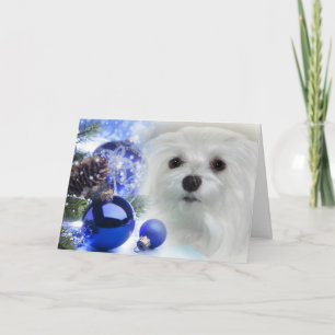 Sneeuwklokje de Maltese kerst Kaart