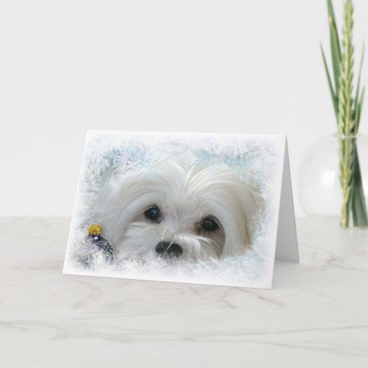 Sneeuwklokje de Maltese Kerstkaart Feestdagen Kaart (Voorkant)