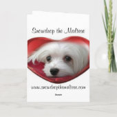 Sneeuwklokje de Maltese Kerstkaart Feestdagen Kaart (Achterkant)