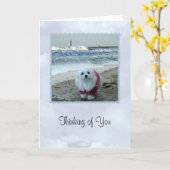 Sneeuwklokje de Maltezer "Denken aan je Kaart (Gele Bloem)