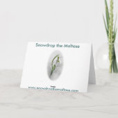 Sneeuwklokje de Maltezer met kerst Feestdagen Kaart (Achterkant)