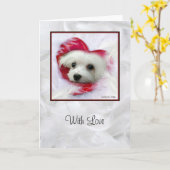 Sneeuwklokje het Maltese Wenskaart (Met Liefde) Kaart (Gele Bloem)