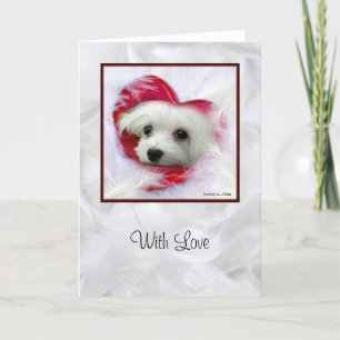 Sneeuwklokje het Maltese Wenskaart (Met Liefde) Kaart