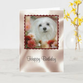 Sneeuwklokje voor de Maltese Birthday Kaart (Gele Bloem)