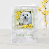 Sneeuwklokje voor de Maltese Birthday Kaart (Gele Bloem)