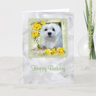 Sneeuwklokje voor de Maltese Birthday Kaart