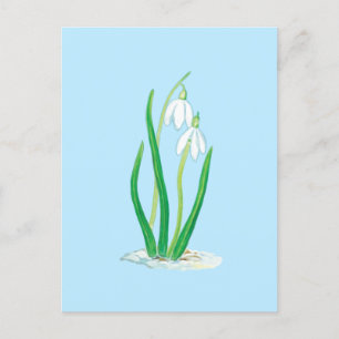 Sneeuwklokjes (Galanthus nivalis) Vroege Lentebloe Briefkaart