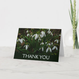 Sneeuwklokjes I (Galanthus) Witte Lente Bloemen Bedankkaart