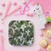 Sneeuwklokjes op een Square Paper Bord (Feest)