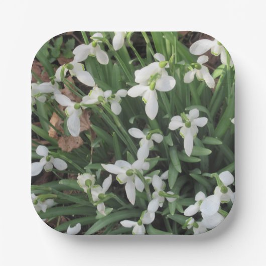 Sneeuwklokjes op een Square Paper Bord (Voorkant)