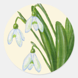 Sneeuwklokjes sticker