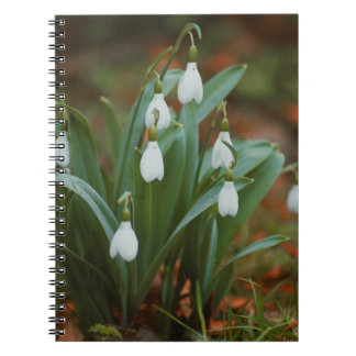 Sneeuwklokjesbloemen Spiral Foto Notitieboek