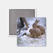 Sneeuwkonijntjes Magneet (Voorkant / Achterkant)