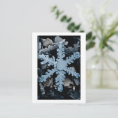 sneeuwkristal 2 briefkaart (Staand voorkant)